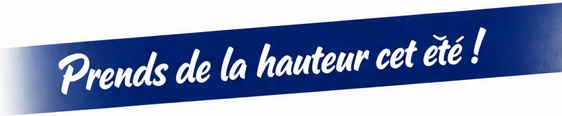 stage titre